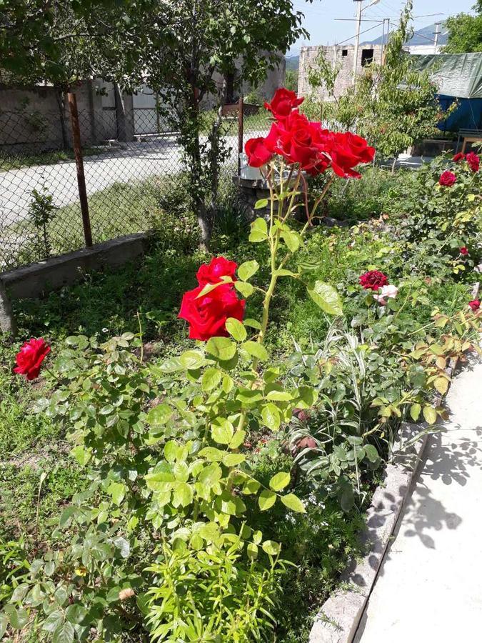 Green Dilijan B&B Exterior foto